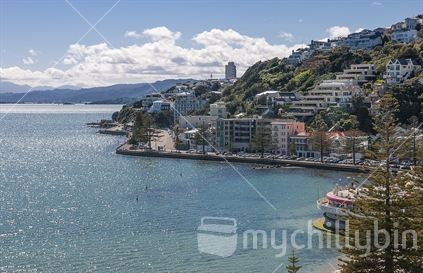Wellington's Oriental Bay sparkles in the sun on a fine day. Showing the curve of the bay around to Roseneath