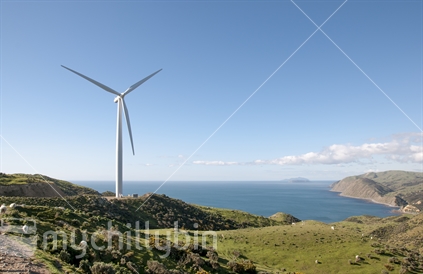Wind farm at Makara. One Turbine on the hill overlooking the western hills of Wellington and in the distance Kapiti Island. Sheep are grazing in the paddock