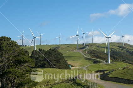 Wind farm at Makara