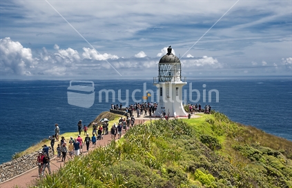 The lighthouse at Cape Reinga showing the cape and the ocean north