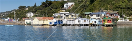 The colourful iconic boatsheds in Wellington's Evans Bay