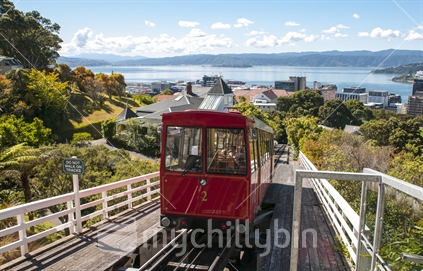 Wellington's iconic cable car as seen from the top station at the botanic gardens