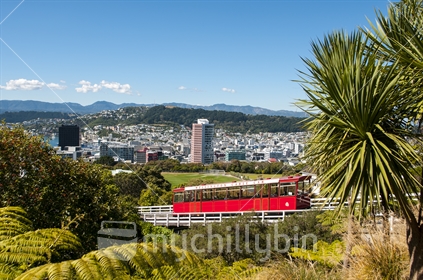 Wellington's iconic cable car as seen from the top station at the botanic gardens