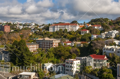 The character houses in Wellington's upmarket Kelburn suburb also showing the Victoria university buildings in the distance,