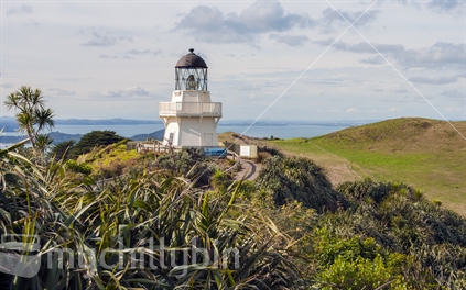 Awhitu Lighthouse, Maunkau Heads, in the foreground are native flaxes, in the distance, Auckland city and the Manukau Harbour