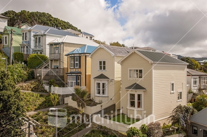 A general view of a row of 7 turn of the century character houses in Wellington's Mt Cook suburb. A row of similar houses is sometimes referred to as sisters