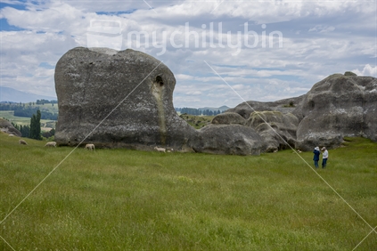 The interesting and unusual limestone outcrops in the Waitaki Basin area near Oamaru and Duntroon forming part of the vanished world trail. Two tourists visit and photograph the sheep and outcrops