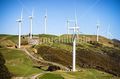 The windfarms near Wellington on the west coast at Makara, the pylons stand tall among green farmland and grazing sheep, generating power for Wellington and New zealand