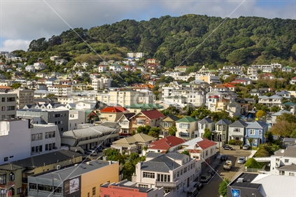 Houses and Buildings of Mt Victoria. In the foreground the business premises lining Cambridge Terrace while in the mid ground are the character homes and houses and apartments of Mt Victoria. In the distance are the hills and park like setting of Mt Victoria and the viewpoint from the top of the hill.