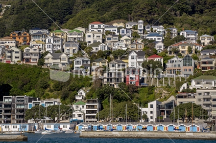 Wellington city towards the Mt Victoria and Roseneath suburbs showing some of the character houses