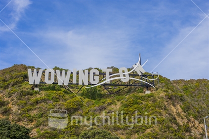 The iconic wellington sign at Miramar changed to Wowington, to promote the WOW world of wearable arts