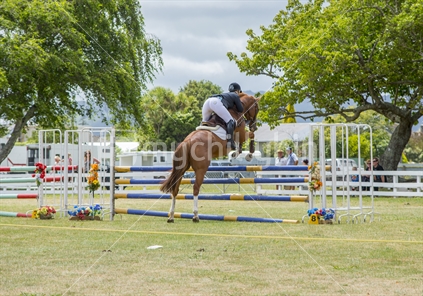 A horse is seen jumping one of the fences.