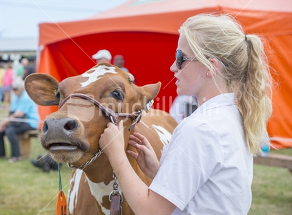 various scenes from the Levin A&P show in January 2015 featuring show jumping, sheep shearing and animal displays. a blonde girl with a brown cow on display