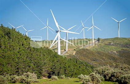 A Rural Wellington View Including A Pod Of Turbines