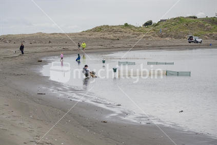 On a grey day, some people are trying to catch whitebait. The set nets reach out into the tidal river mouth of the Waikanae River