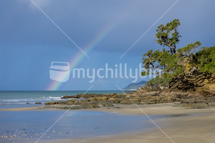 A lovely rainbow from sea to sky frames a pohutakawa tree in a sandy cove at Waipu Cove in Northland