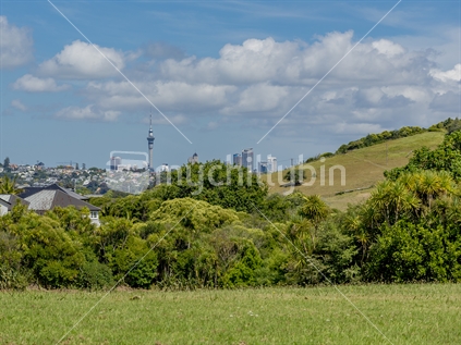 Auckland city from Meadowbank, in the distance the high rises and skycity, in the foreground and to the right, rolling parklands and housing peaks through to the left