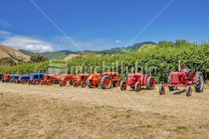 A row of restored vintage tractors on display in a field
