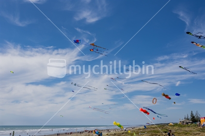Kites at Otaki Beach