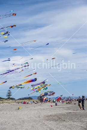 every year at Otaki Beach the kites come out to play in february