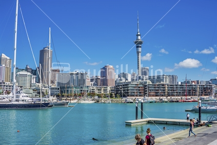 Auckland, New Zealand, December 12 2015. Viaduct basin, the surrounding buildings including skytower