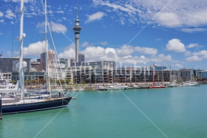 Auckland, New Zealand, December 12 2015. Viaduct basin, the surrounding buildings including skytower