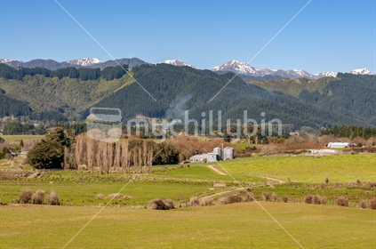 Levin, New Zealand, Rural farmland in Horowhenua near Levin showing grassy farmland, with the Tararua ranges and forested foothills  in the background