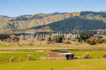 Levin, New Zealand, Rural farmland in Horowhenua near Levin showing grassy farmland, various farm buildings, with the Tararua ranges in the background