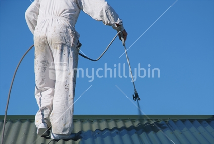Man Painting Roof