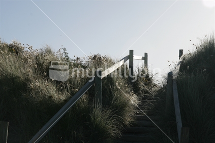 Walkway up sand dunes on an East Coast New Zealand beach