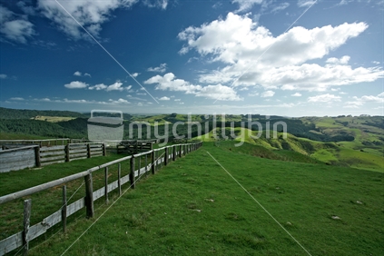 Country scene of blue sky and green grass with a leading fence line. 