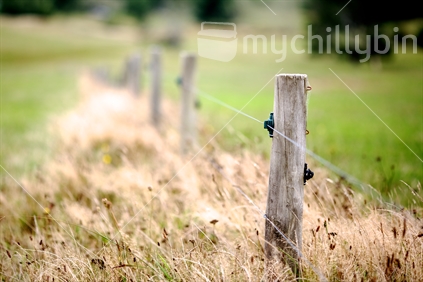 Rural New Zealand electric farm fence in green grassy field.