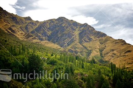 Beautiful South Island mountainside, with green trees.