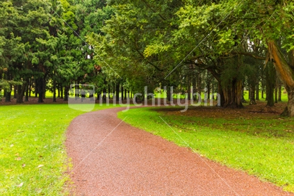 Path through the Woodlet at Cornwall Park 