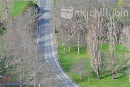 Taken from "The Centre of NZ" - Nelson looking down on the road with lone cyclist and bare winter trees