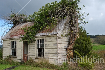Old outbuilding at Port Albert, North Auckland