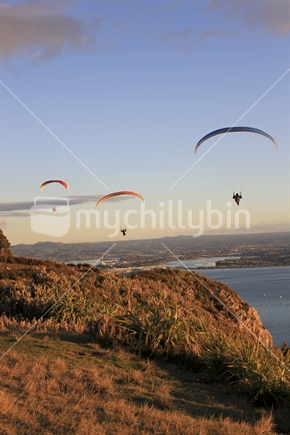Paraglider gliding in the sky over Tauranga backdrop from Mount Maunganui, New Zealand.