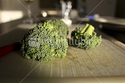 Broccoli cut on cutting board in kitchen.