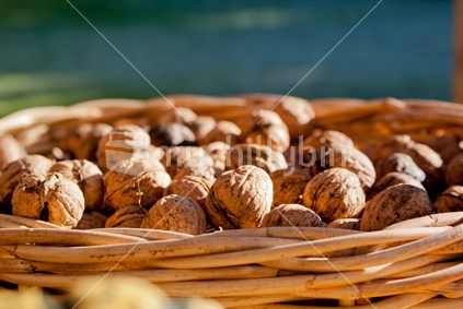 Basket of walnuts grown in New Zealand. 