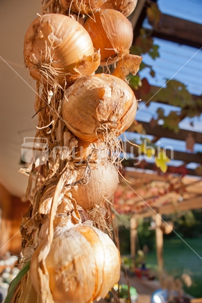 Onions hanging in the sun on a verandah.
