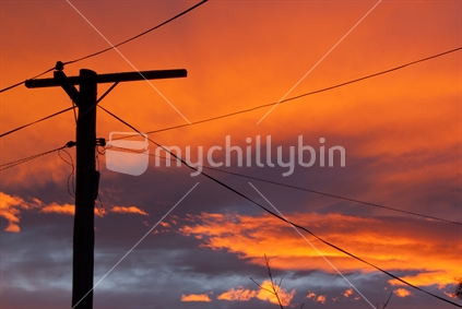 Power pole silhouette at sunset.