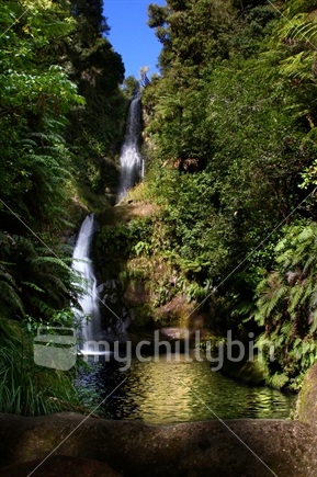 Ngatuhoa Falls Tauranga, Kaimai Mamaku Forst Park