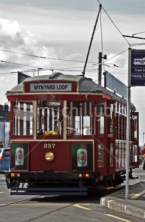 Tram at the Wynyard Quarter stop, Auckland.