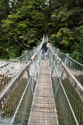 The swinging bridge at Kaikohe National Park, Lower Hutt