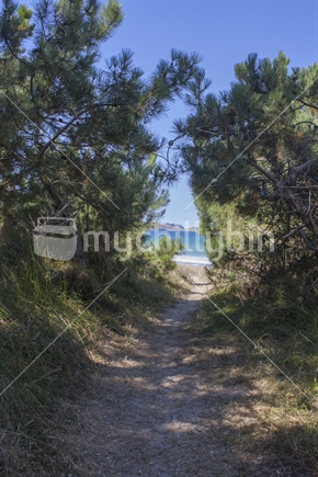 pathway to the beach