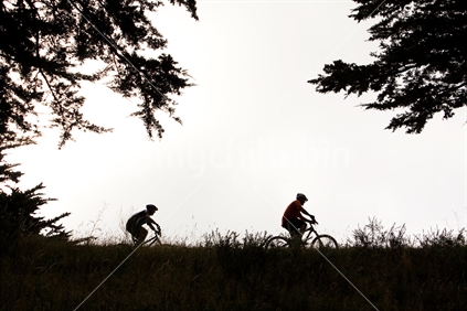 Two silhouetted cyclists ride across a field sheltered by trees; New Zealand.  