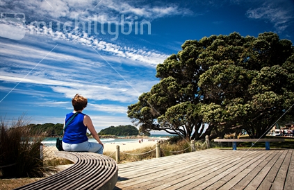 A welcome rest overlooking the beach at Mt Maunganui for a tourist.