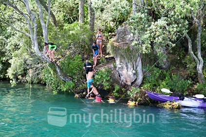 A bunch of children on holiday kayak to a rope swing hanging from a pohutakawa tree overlooking a lake.