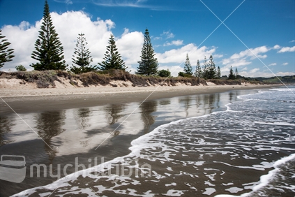 The waves lap up on the beautiful beach at Ohope, with Norfolk Pines reflected in the sand.