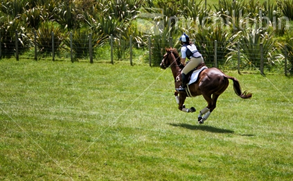 A cross country horse rider on a competition course.
